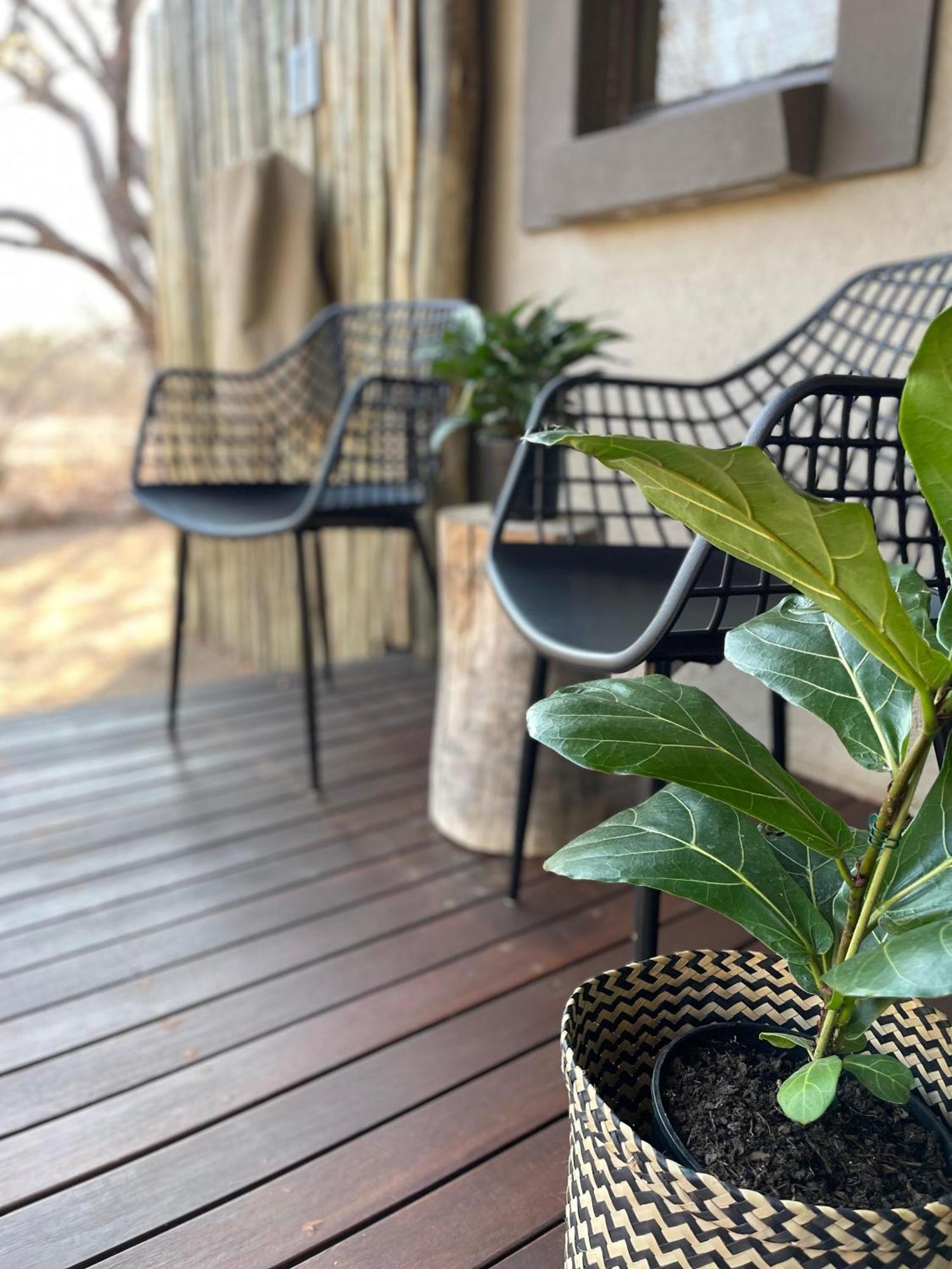 The Baobab Bush Lodge And Villa Hoedspruit Exteriör bild